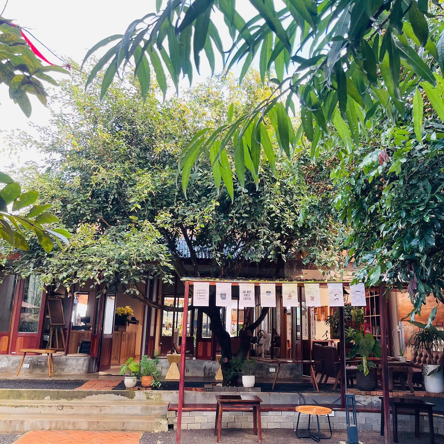 Vibe9 Experimental Coffee & Tea House - Image 1